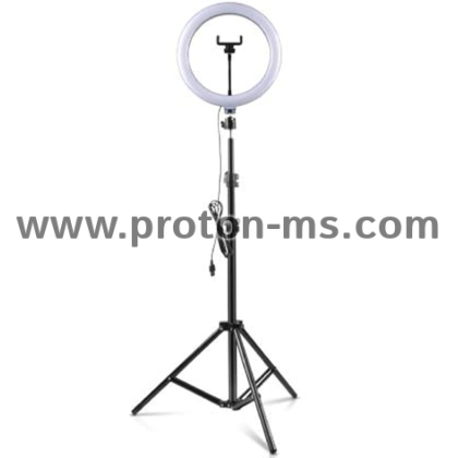 Lamp with Motion Sensor YCB1008