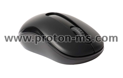 Wireless optical Mouse RAPOO M10 Plus, Black, 2.4GHz