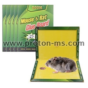Капан с незасъхващо лепило за мишки и плъхове  Mouse &amp; Rat Glue Pastes