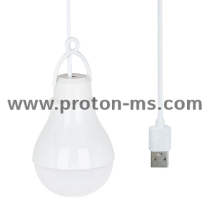 LED Portable Lamp