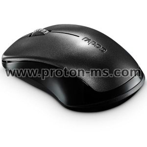Wireless optical Mouse RAPOO 1620, 2.4 GHz, Black