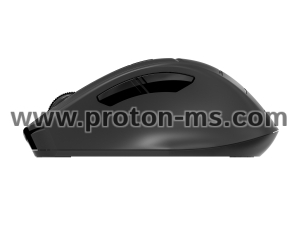 Оптична мишка A4tech FG30S Fstyler, безжична, безшумна, Сив