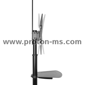 ACT, Mobile tv/monitor floor stand, 37" up to 70", VESA