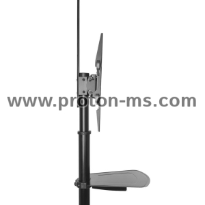 Мобилна стойка ACT AC8370, За под, Регулируема, 37"-70", VESA, До 50 кг., Черна