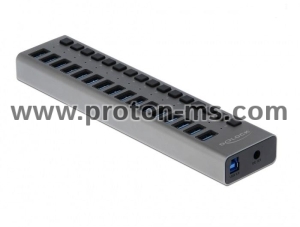 Delock External SuperSpeed USB Hub with 16 Ports + Switch