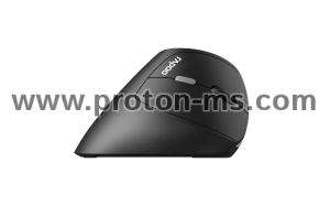 Wireless Ergonomic Mouse RAPOO EV250, 2.4Ghz, 1600dpi, Black