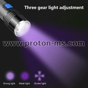LED Flashlight Mountain View Q5