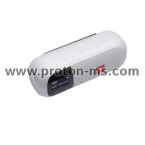 Bluetooth Speaker with FM JBL Tuner 2 White