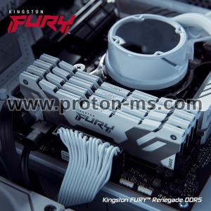 Памет Kingston Fury Renegade White 32GB(2x16GB) DDR5 6400MHz CL32 KF564C32RWK2-32