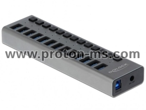 Delock External SuperSpeed USB Hub with 13 Ports + Switch