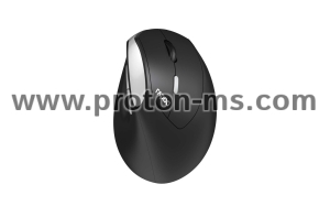 Безжична ергономична мишка RAPOO EV250, 2.4Ghz, 1600dpi, Черен