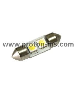 Diode bulb 2 SMD LED diode, white